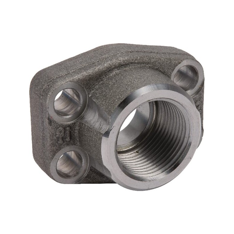 SAE Flange - AFS316G12