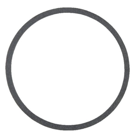 Dichtring - AGW02909