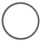 Dichtring - AGW02909 Dichtring - AGW02909