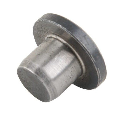 Grzybek - AGW06500
