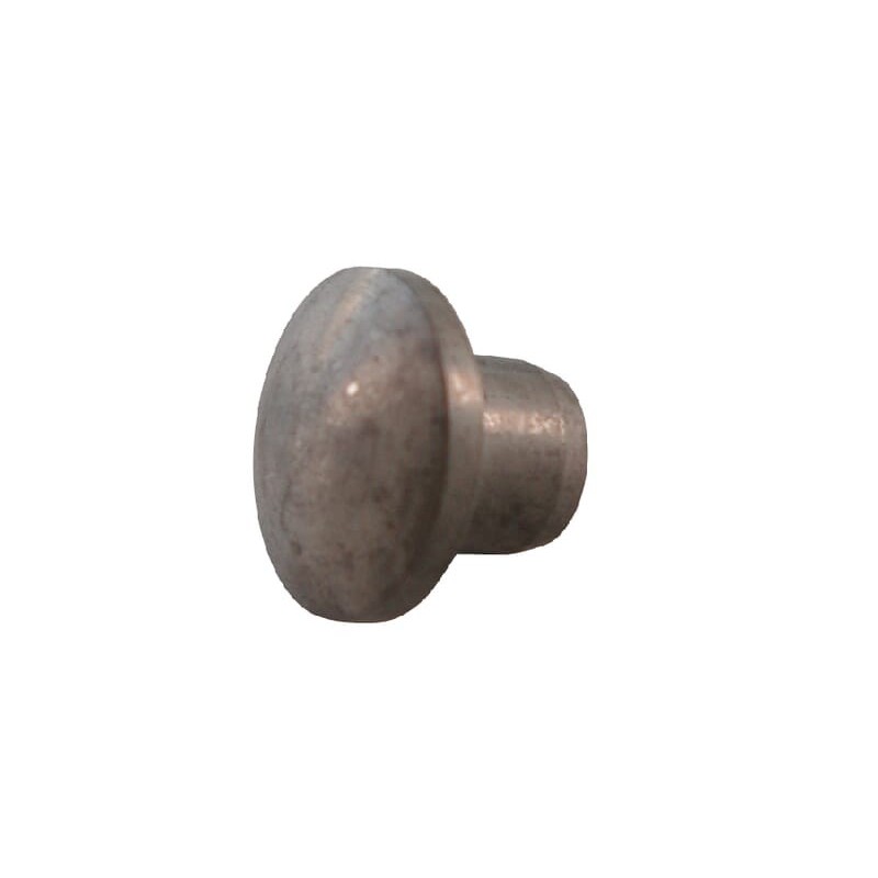Grzybek 10.1 - AGW14646 Grzybek 10.1 - AGW14646