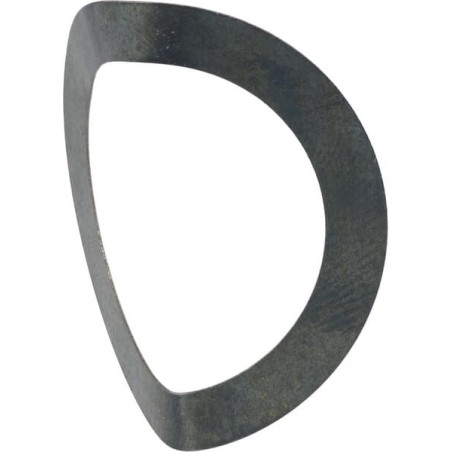 Spring disc - AGW07986