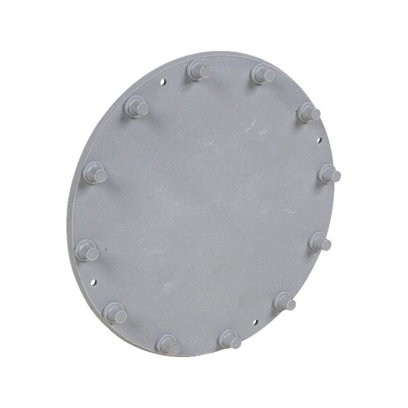 Agitator disc - AC819903
