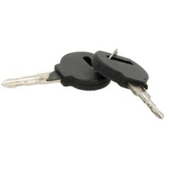 AL19890N Unbranded, Ignition switches 