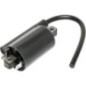 Ignition coil, John Deere - AM120732