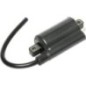 Ignition coil, John Deere - AM120732