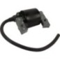 Ignition coil, John Deere - AM109209