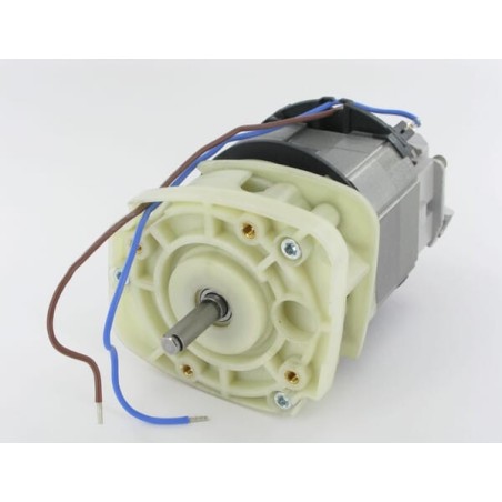 Elektromotoren – produkty dostępne w rolniczeczesci.pl