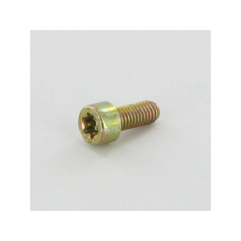 Screw Torx M5x12 - ALP2135180 Screw Torx M5x12 - ALP2135180
