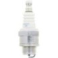 Spark Plug - AM101194