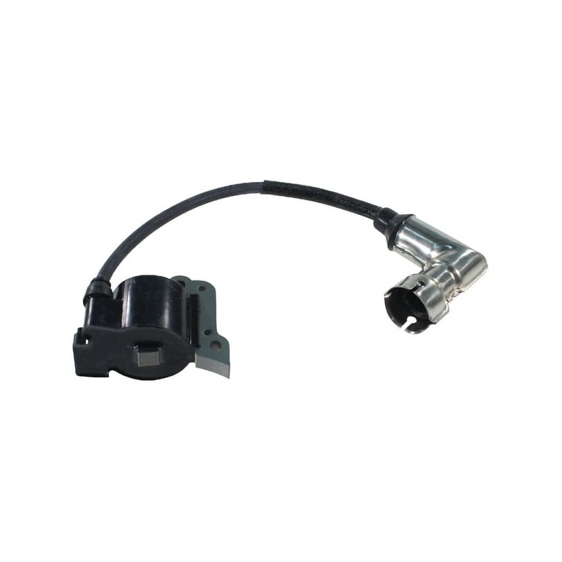 Ignition coil, Alpina - ALP6981204 Ignition coil, Alpina - ALP6981204