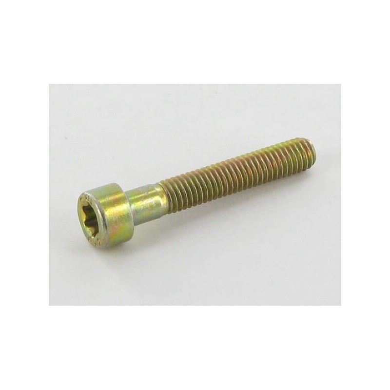 Screw Torx M5x30 - ALP2135050 Screw Torx M5x30 - ALP2135050