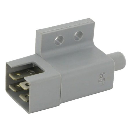 Switch - AM124376