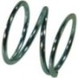 Compression spring Battioni Pagani - AM45 Compression spring Battioni Pagani - AM45
