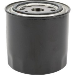 Oil Filter - AM39653