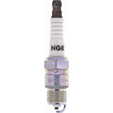 NGK rolniczeczesci.pl