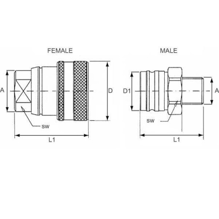 Male for Female Anchor - BRAN
