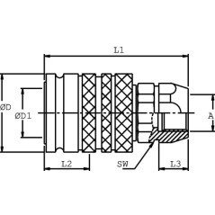 Quick coupling socket, HP201IGF12 - B300HP201IGF12