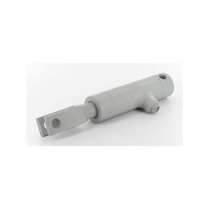 Bremszylinder EPL25/100 - BC25100 Bremszylinder EPL25/100 - BC25100