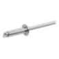 Blind rivet 3.2x8 S.S.-A2 - BN328RVS Blind rivet 3.2x8 S.S.-A2 - BN328RVS