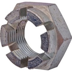 B00851527R Maschio, Maschio 