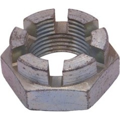 B00851527R Maschio, Maschio 