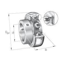 AY20NPP INA, Mit Einstellschraube 