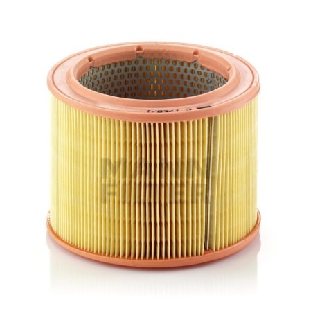 Air filter - C17601