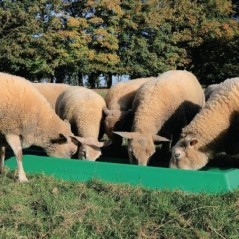 Futtertrog 2m - BUD239