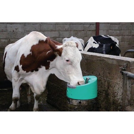 Horses – produkty dostępne w rolniczeczesci.pl