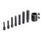 Thorn set - C61216