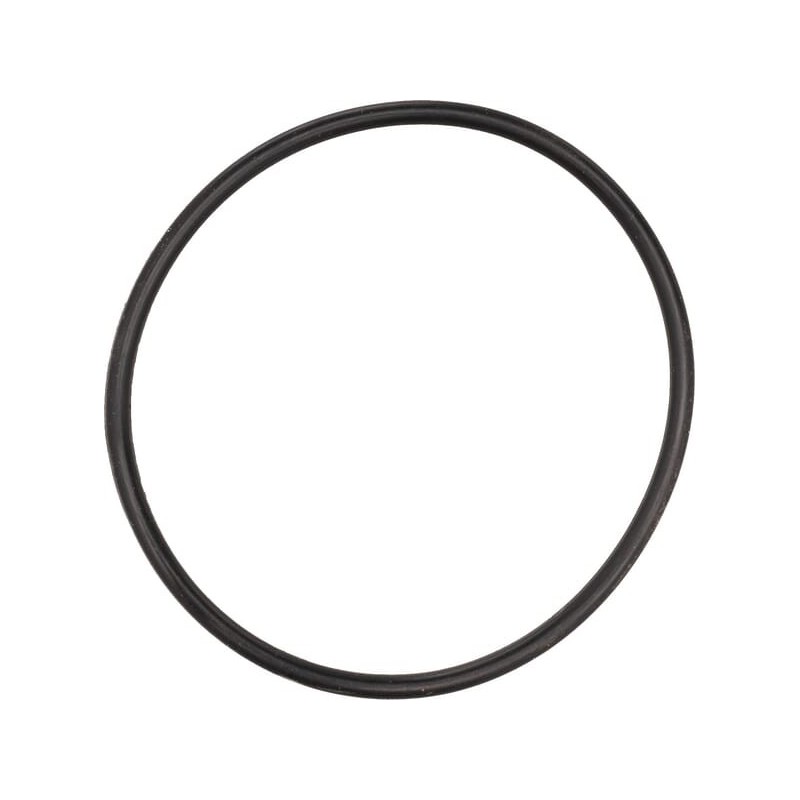 O-ring - CI028518