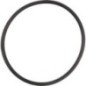 O-ring - CI028518