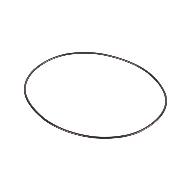 O-ring - CI028508