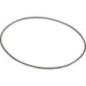 O-ring - CI028508
