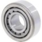 Roller cone bearings - CI027402