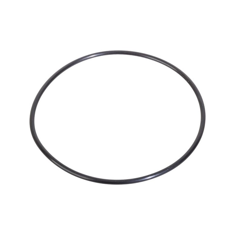O-ring - CI028516