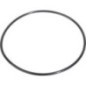 O-ring - CI028516