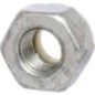 Mutter - CI022411 Mutter - CI022411
