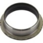 Seal - CH14692