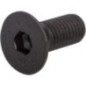 Screw - CI020510
