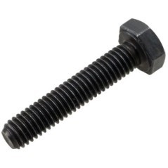 Screw - CI020754