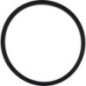 V-Ring - CI028640 V-Ring - CI028640