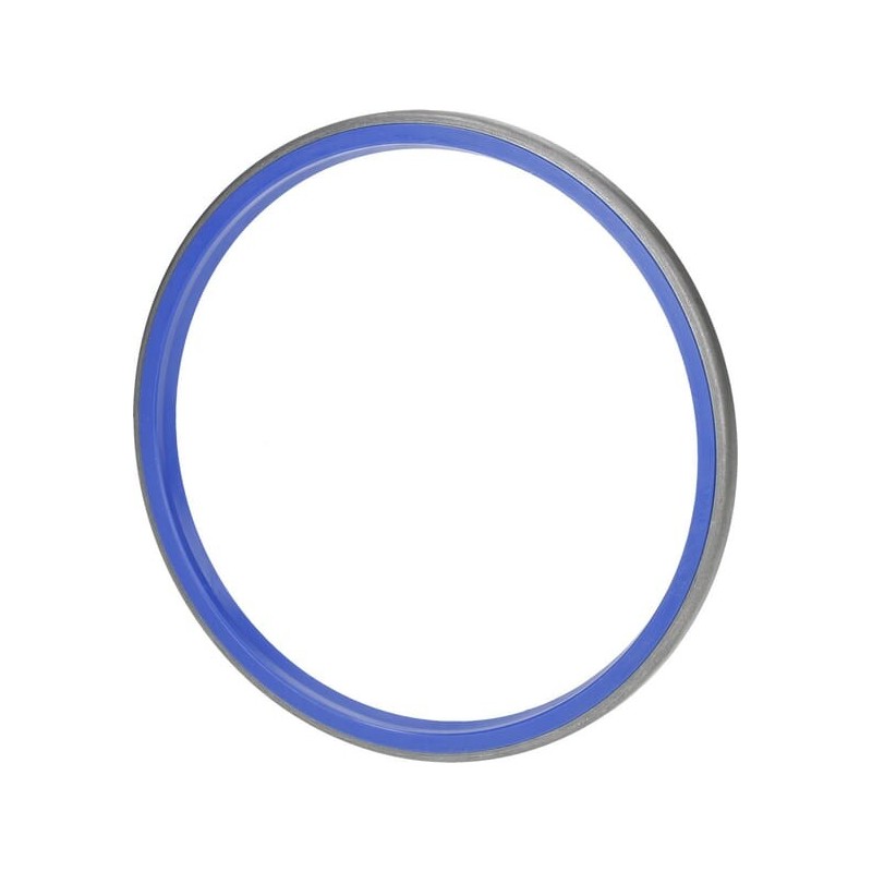 Oil seal - CI148745