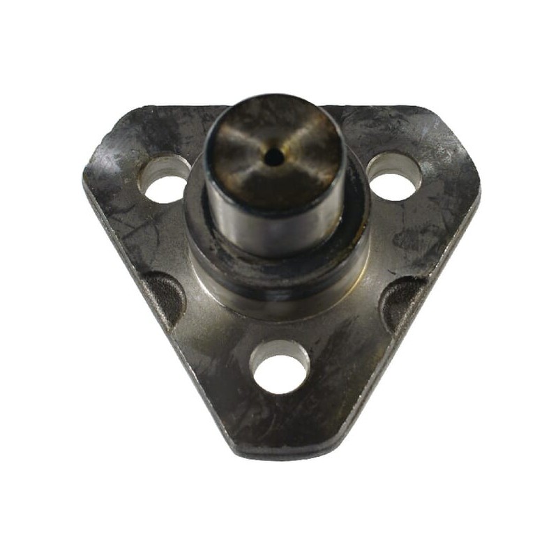Spindle Pin Carraro - CI128880 Spindle Pin Carraro - CI128880