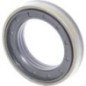 Seal ring - CI339592 Seal ring - CI339592
