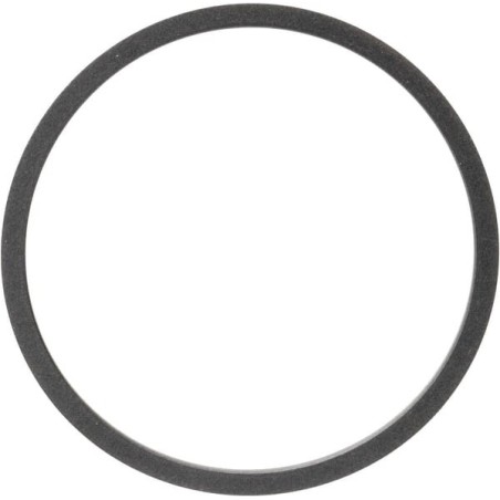 Oil seal - CI139198