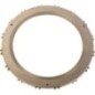 Brake plate - CI136137 Brake plate - CI136137