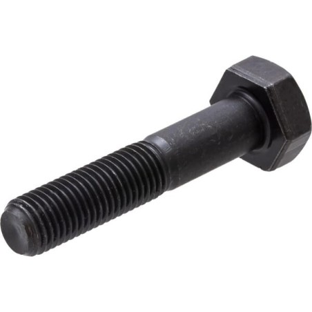 Screw - CI125229