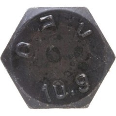 CI125229 Carraro, Carraro 